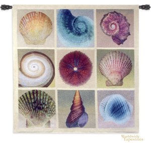 Shell Collection Tapestry