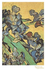 Van Gogh Iris Gold