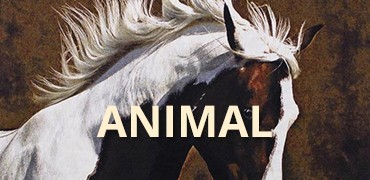 Animal Tapestries