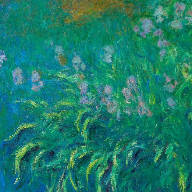 Irises - Claude Monet - Canvas Print