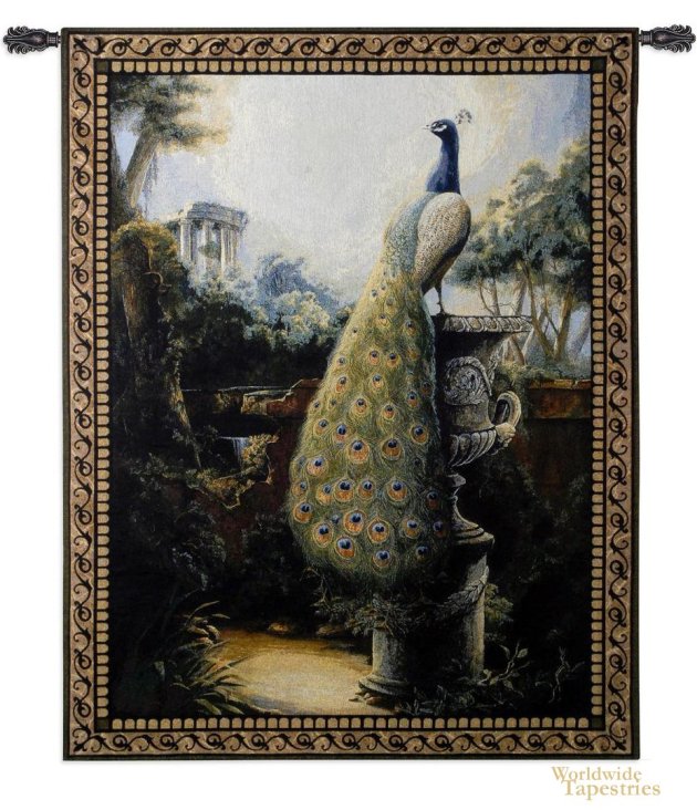 Peacock Luogo Tranquillo