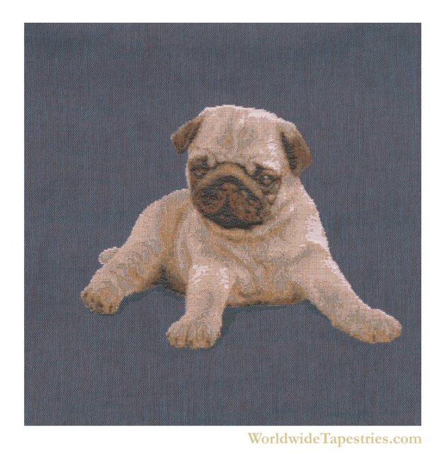 Puppy Pug Blue Cushion Cover